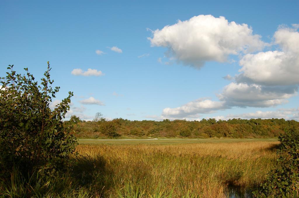 Hotel Graaf Bernstorff Schiermonnikoog Bagian luar foto